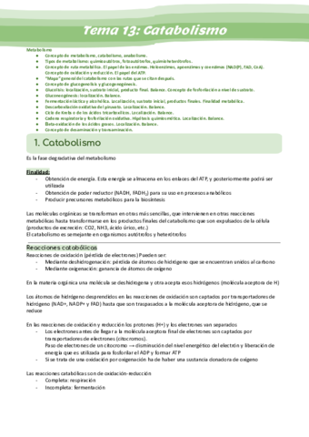 Tema-13-Catabolismo.pdf