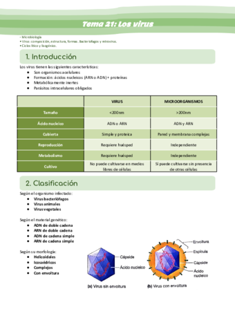 Tema-21-Los-virus.pdf