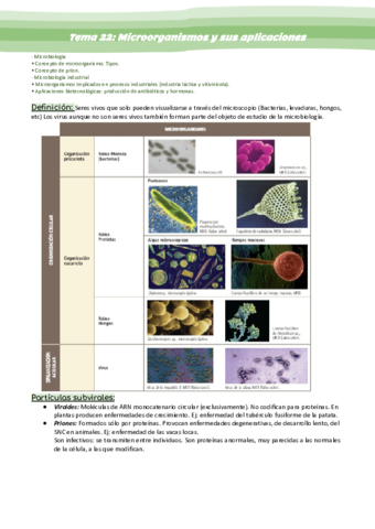 Tema-22-Microorganismos-y-sus-aplicaciones.pdf