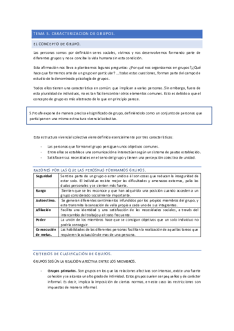 TEMARESUMENUD5y6HHSS.pdf