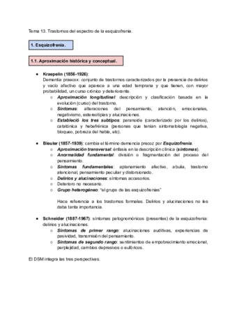 Tema-13.pdf