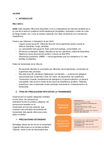 H2-EPIS.pdf