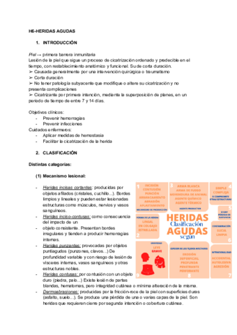 H6-HERIDAS-AGUDAS.pdf