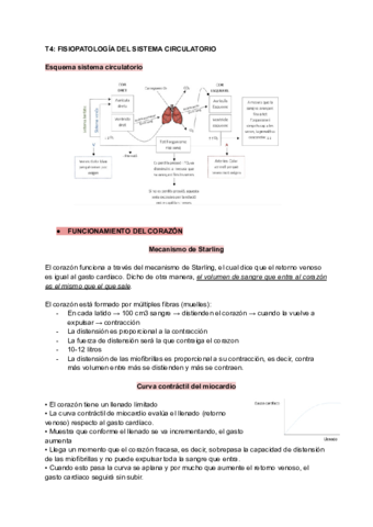T4-FISIOPATOLOGIA-DEL-SISTEMA-CIRCULATORIO.pdf