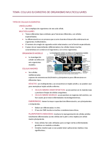 Celulas-Eucariotas.pdf