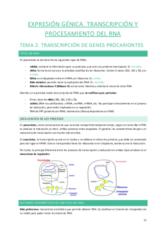 Tema-2.pdf