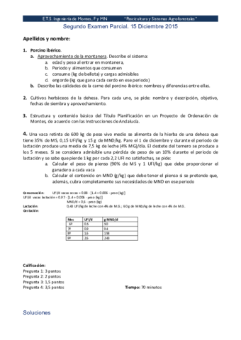 Segundo-Examen-Parcial.pdf