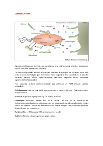 CONTINUACIO-TEMA-7.pdf