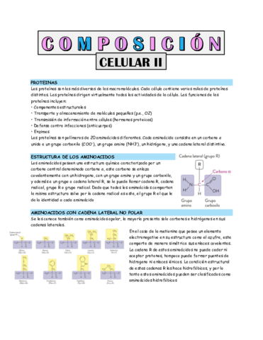 composicion-celular-2.pdf