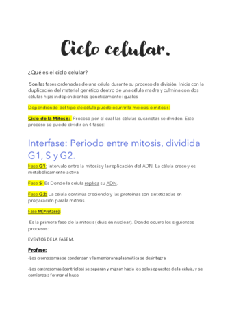 Ciclo-Celular-Resumen.pdf