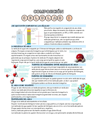 composicion-celular-I.pdf