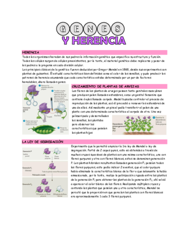 genes-y-herencia.pdf