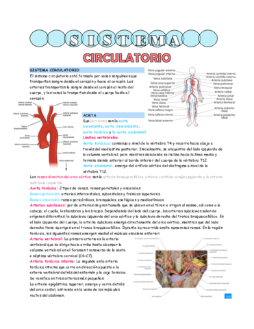 sistema-circulatorio.pdf