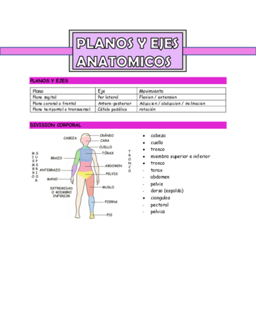 planos-y-ejes-anatomicos.pdf