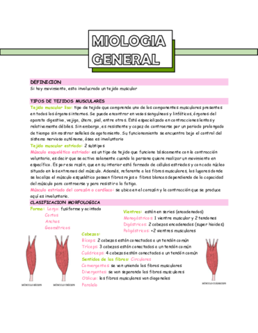 miologia-general.pdf