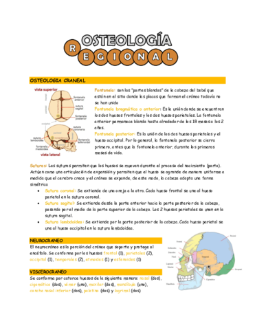 osteologia-regional.pdf
