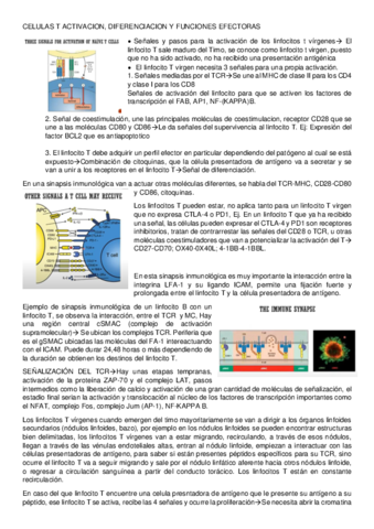 LINFOCITOS-T-2.pdf