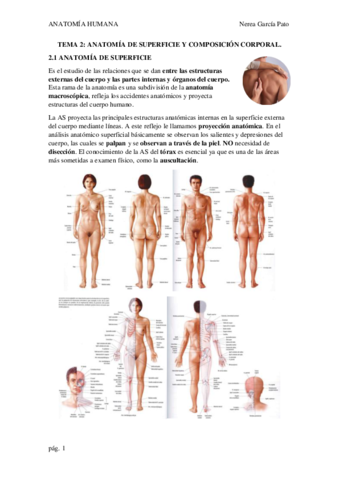 TEMA-2-ANATOMIA-DE-SUPERFICIE-Y-COMPOSICION-CORPORAL.pdf