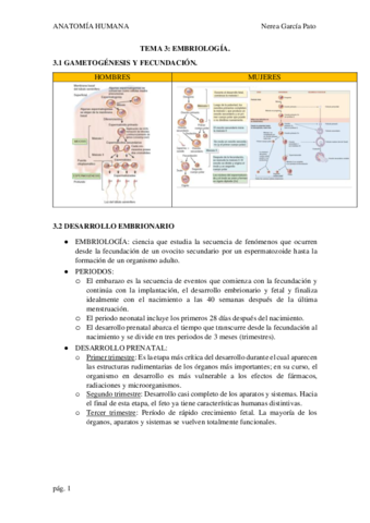 TEMA-3-EMBRIOLOGIA.pdf