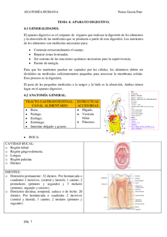 TEMA-4-APARATO-DIGESTIVO.pdf