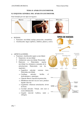 TEMA-8-APARATO-LOCOMOTOR.pdf