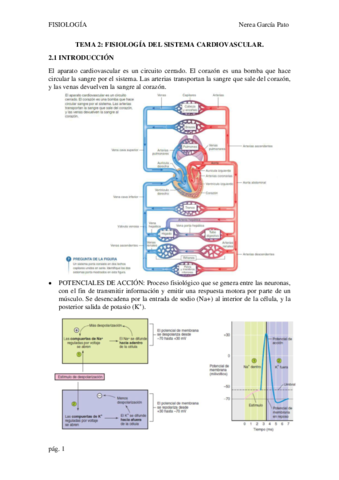 TEMA-2-FISIOLOGIA-DEL-SISTEMA-CARDIOVASCULAR.pdf