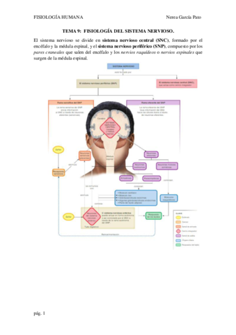 TEMA-9-FISIOLOGIA-DEL-SISTEMA-NERVIOSO.pdf