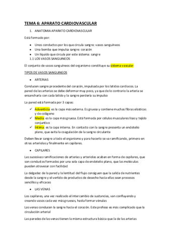 tema-6-anatomia-.pdf