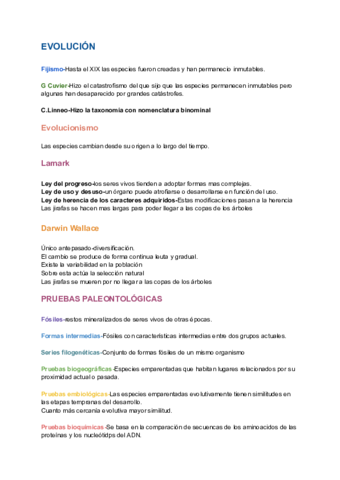 EVOLUCION.pdf