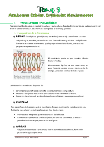 Tema-9-MEMBRANA-CELULAR-Y-ORGANULOS-MEMBRANOSOS.pdf