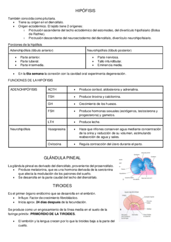 Embriologia-glandulas-.pdf