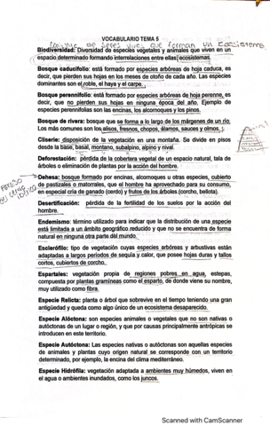 vocabulario-t5.pdf