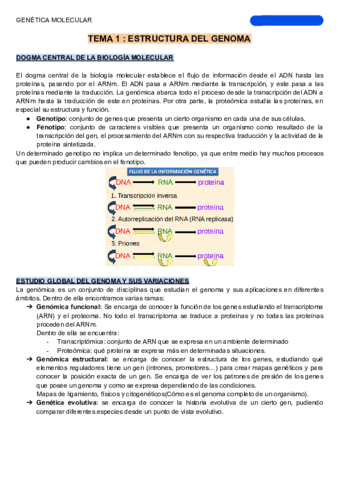 GENETICA-MOLECULAR.pdf