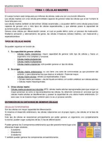 MEJORA-GENETICA-Apuntes.pdf