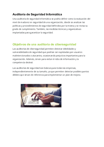 Auditoria-de-Seguridad-Informatica.pdf