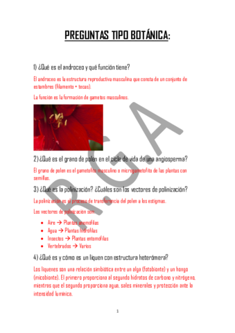 Preguntas Botánica.pdf