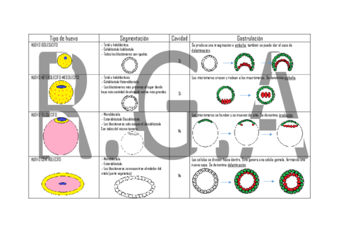 Tabla huevos.pdf