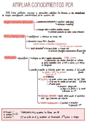 Ampliar-conocimientos-Pcr.pdf