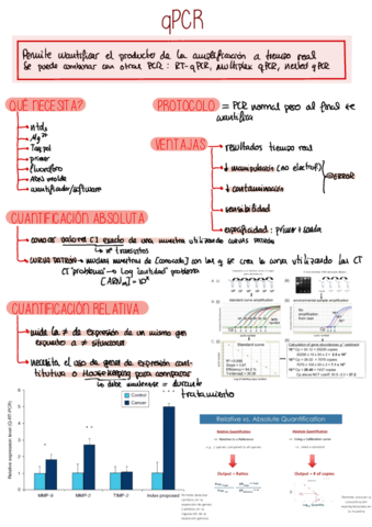 qPCR.pdf