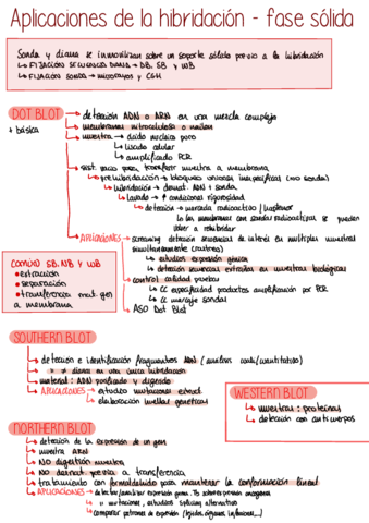 aplicacion-hibridacion-fase-solida.pdf