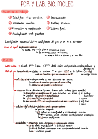 PCR-y-laboratorio.pdf