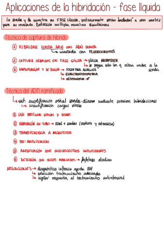 Aplicaciones-hibridacion-fase-liquida.pdf