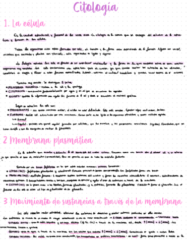 1r-trimestre1.pdf