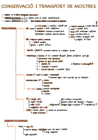 conservacio-i-transport.pdf