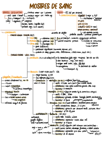 SANG.pdf