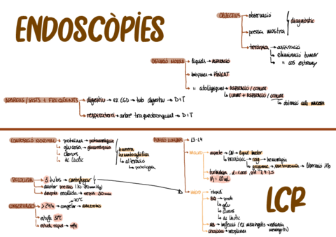 puncions-i-endoscopies.pdf