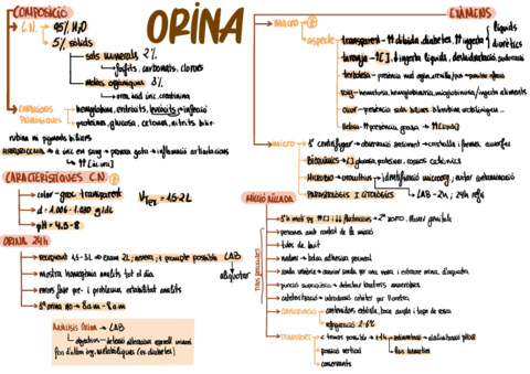 Orina.pdf