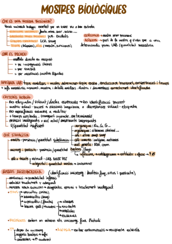 T5.pdf