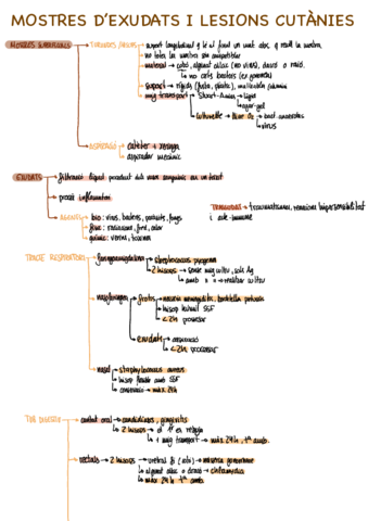 exudats-i-lesions-cutanies.pdf