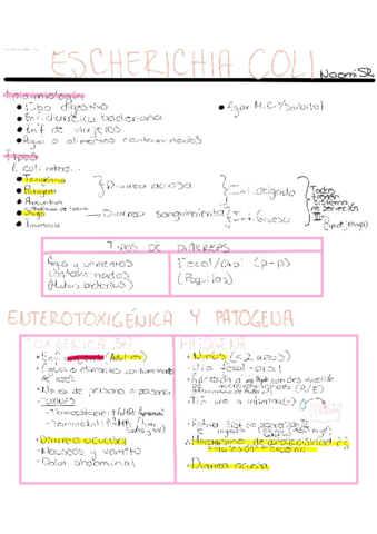 Escherichia-Coli-.pdf